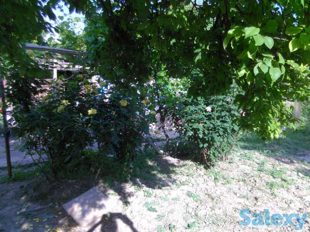 Продам Дачу, Ташкентская область, фотография 8