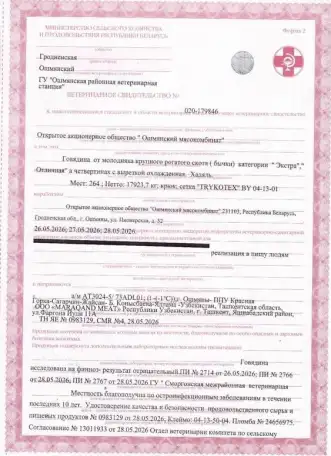 Говядина охлажденная из Белоруссии халяль с первых рук, фотография 1