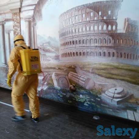 Дезинфекция от насекомых, фотография 7