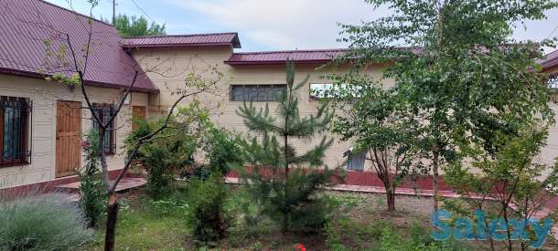 Частный дом, Ул. Олтинтепа (Циолковского), фотография 3