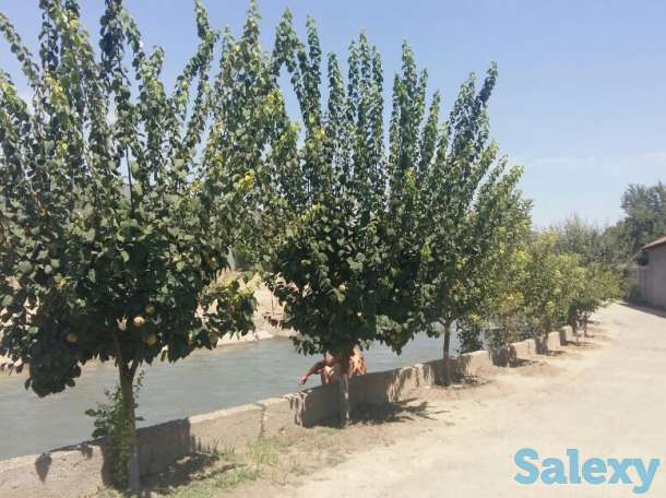 Продам дом с участком в ташкенте, срочно!, байсунская ул., д.7, фотография 11