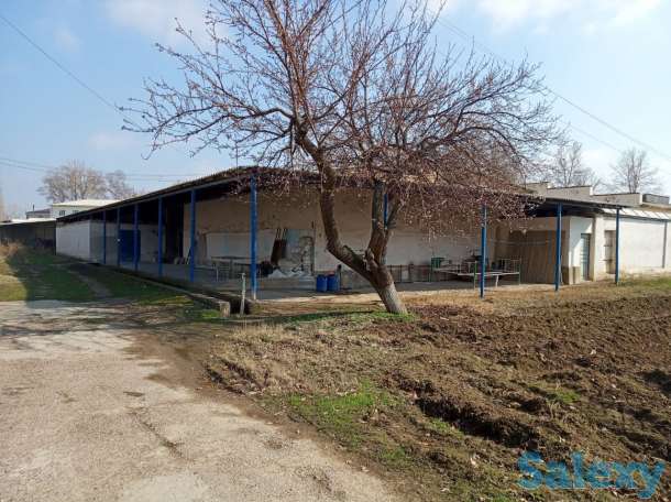 Продаётся, Ташкентская область, , ул. Магистральная 1, фотография 1