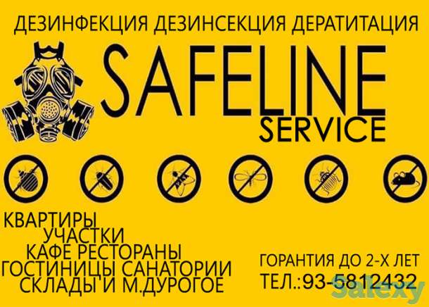 Dezinfeksiya Дезинфекция клопы тараканы блохи комары мухи крысы мыши, фотография 1