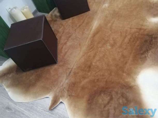 шкура ковер из коровы  кожаные пуфики, фотография 8