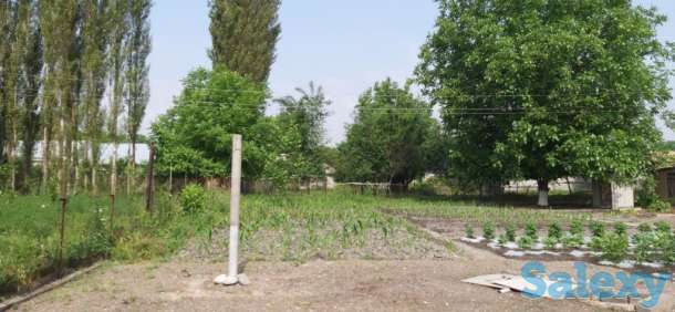 Участок,дом, Таш.обл, фотография 7