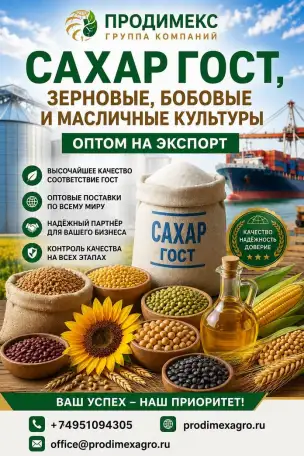 Сахар ГОСТ, зерновые, бобовые и масличные культуры оптом в Узбекистане, фотография 1