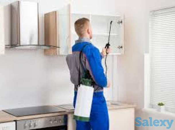 Дезинфекция со скидками.20%, фотография 2