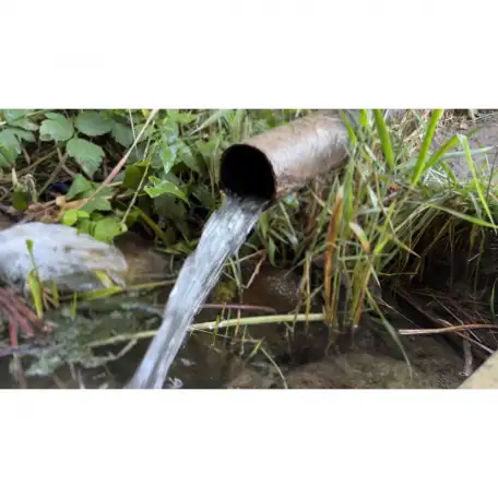 Бывший пионерский лагерь, Краснагорск, фотография 4