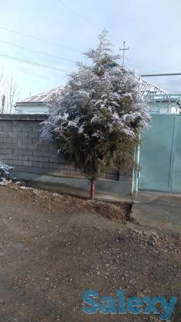 Продаётся дом., Г, фотография 6