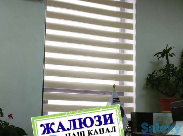 Jalyuzi Kombo Жалюзи сомбо, фотография 10