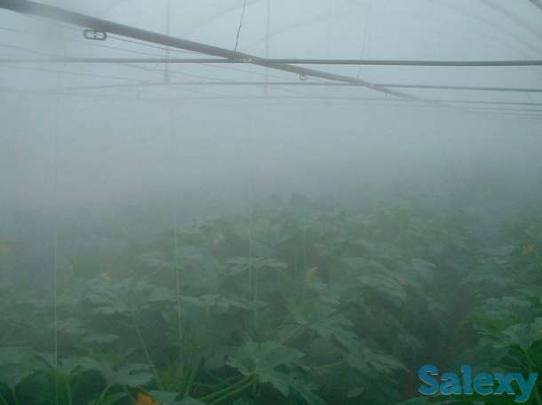 Микроклимат, фотография 2