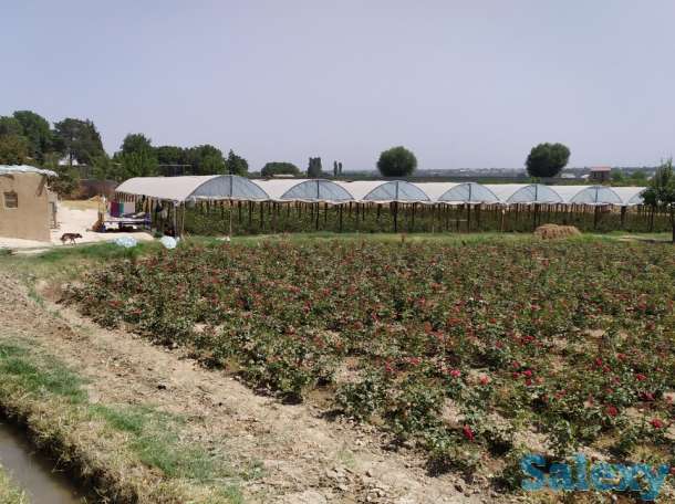 Продажа место для теплиц, фотография 1