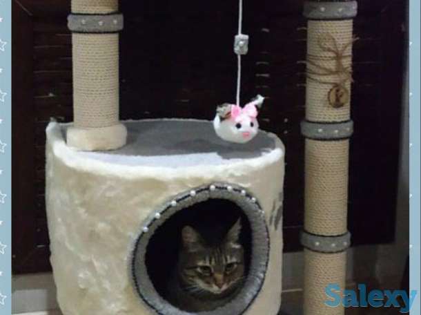 Когтеточка для кошки. Игровой комплекс для кошки. Дом для кошки., фотография 4