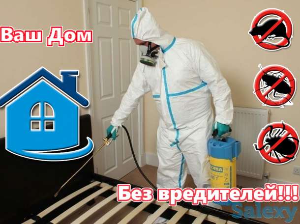 дезинфекция, фотография 1