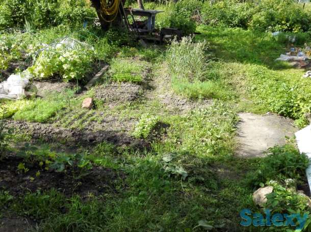 Срочно обмен 3-х комн. Подмосковье на 3-х или 4-х комн. Ташкент, фотография 9