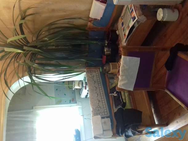 Ул.Бабура 2х ком отдельный вход 60кв.м.общ.площ., фотография 2