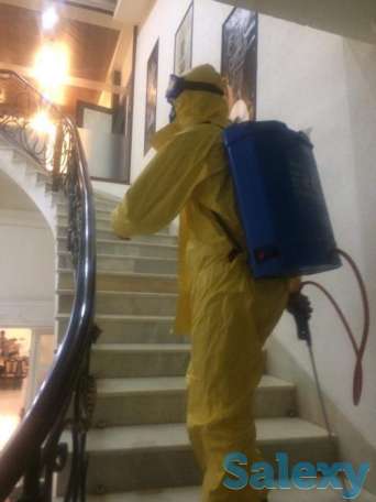 Дезинфекция от насекомых, фотография 1