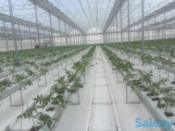 МОНТАЖ КОРЕЙСКИХ ТЕПЛИЦ ПОД КЛЮЧ, фотография 1