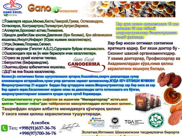 Ganoderma bilan davolash.Siz eng yaxshisiga arziysiz, фотография 7