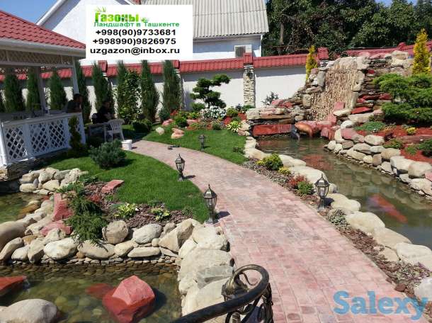 Газоны Мы предлагаем Вам качественный посев газонной травы таких известных производителей как Trifolium DLF, Canada Gree, фотография 3