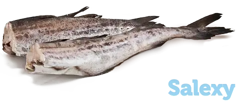 Минтай свежемороженый, фотография 1