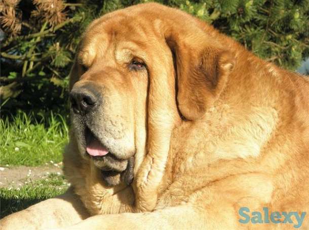 продажа, фотография 1