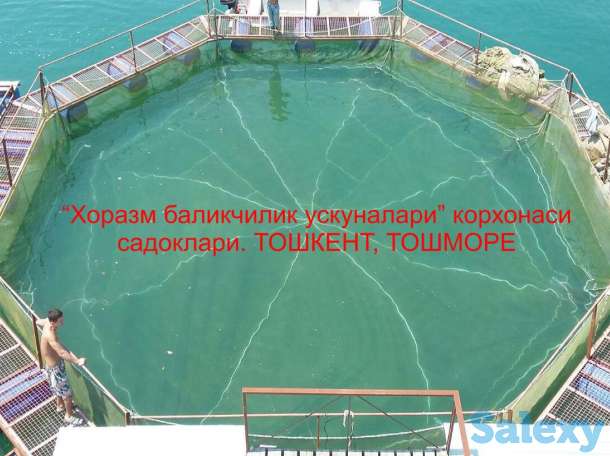 Рыбоводство, садок, бредень, мережа на заказ, фотография 5