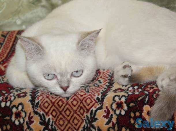 Нежное облако, фотография 1