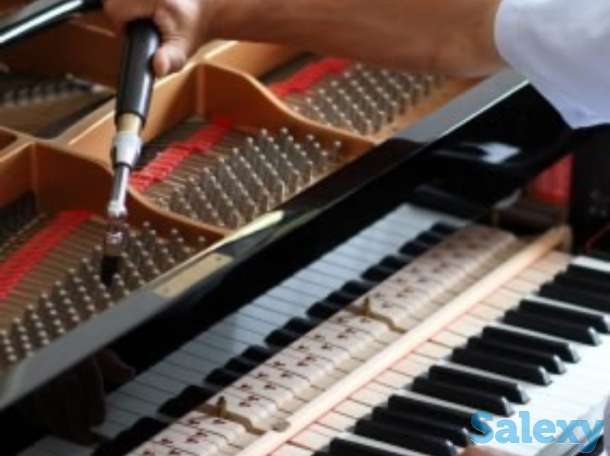 Профессиональная настройка фортепиано (пианино и рояли), настройщик, фотография 1