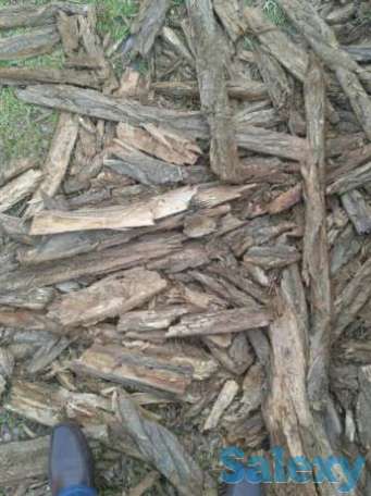 Продам Кору карагача, фотография 1