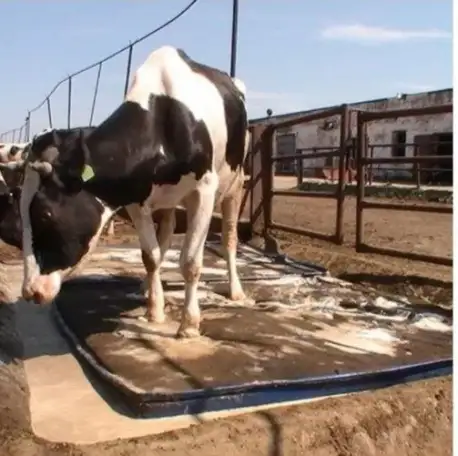 ДЕЗИНФЕКЦИОННЫЕ АНТИБАКТЕРИАЛЬНЫЕ КОВРИКИ МАТЫ, фотография 14