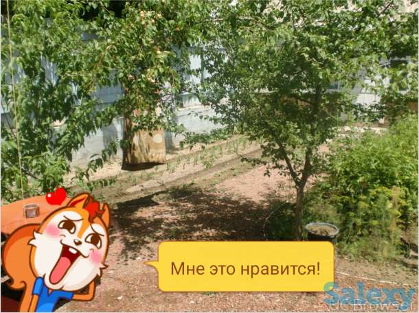 Продается два участка в Гулестане, фотография 8