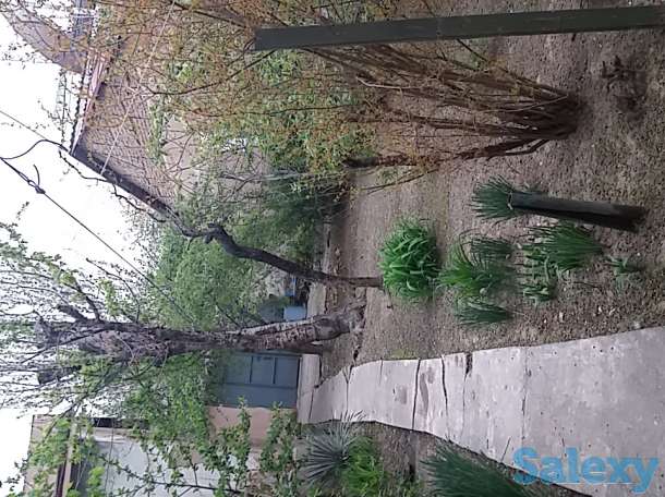 Дом с участком в махалле Узбекфильм в городе СРОЧНО!, фотография 2