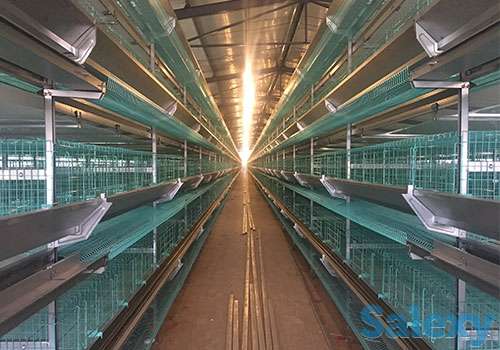 Клеточная батарея для кур несущее КБН-22, фотография 3