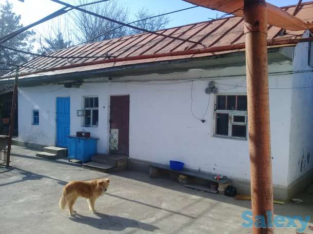 Продается два дома на окраине Чирчика, поселок Азадбаш, фотография 5