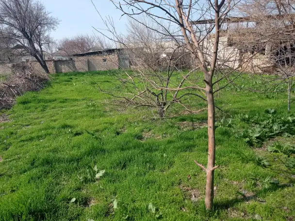 Продаётся Дом! Рядом всё необходимое: Школа, садик, магазины, автосервис!, фотография 10