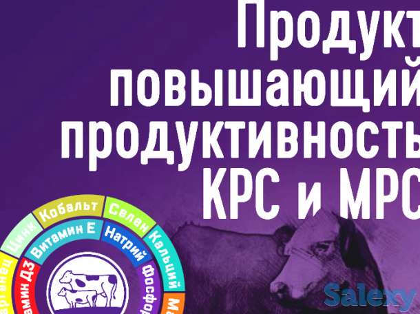 Надёжная защита здоровья быков, коров и овец, фотография 3