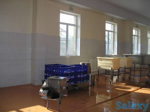 Master Steel, фотография 1