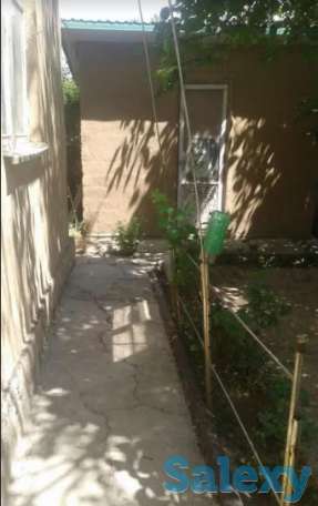 Продается дача  Ахмад Яссавий., фотография 5