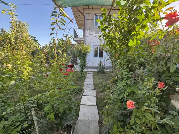 Продам свою Дачу 6 соток в Пскенте со всеми условиями и с техникой, фотография 3