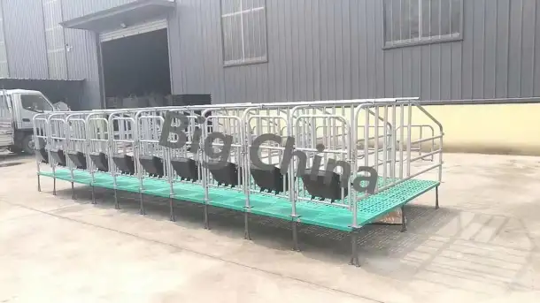 Оборудование Big Ducthman для свинокомплекса по выращиванию свиней из Китайского производителя., фотография 1