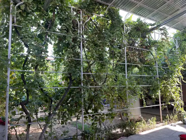 Продаётся дом 6 соток Наманган Нуробод Бадавлат кучаси 5 уй, фотография 4
