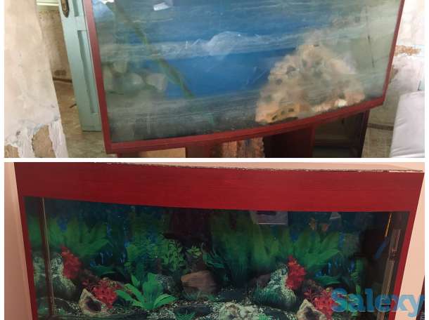 чистка аквариум по доступным ценам, фотография 2