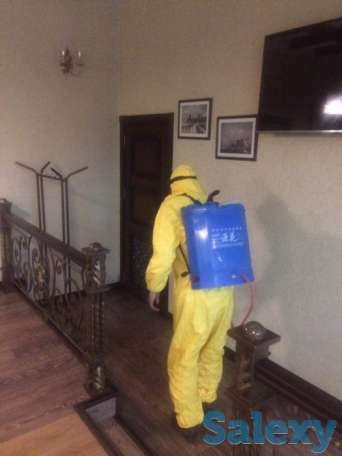 Дезинфекция от насекомых, фотография 2