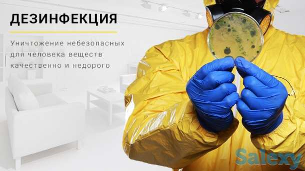 Дезинфекция, дезинсекция, дератизация, фотография 3