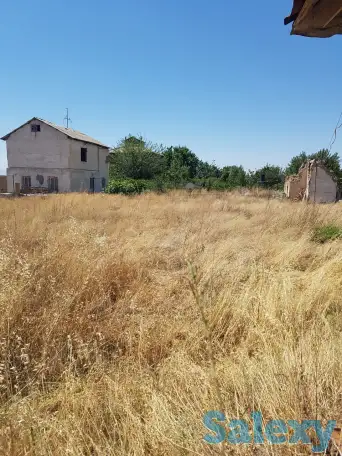 Продаётся дачный участок, фотография 5