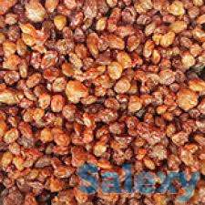 Изюм султана-абджуш высший сорт, фотография 1