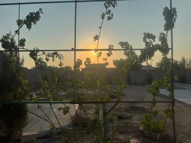 Продам дачу 8 соток около ташморе срочно, Лола ариқ МФЙ, СВТ-2 ГУВД БУШ, фотография 3