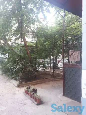 3х Комнатная Своя, 78м2, 1й этаж, серия 77, кирпич, фотография 4