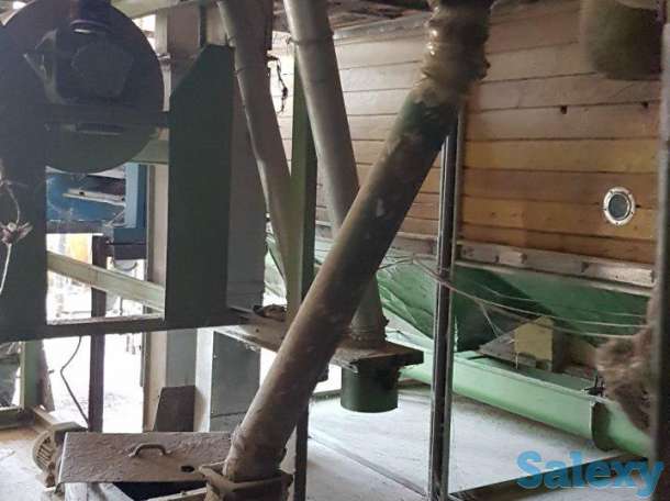 продаю мукамолку, фотография 3